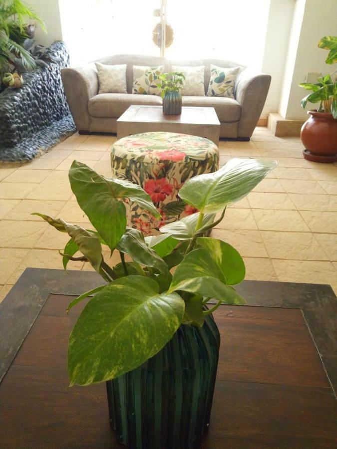 Illiyin Boutique Hotel Dakar Zewnętrze zdjęcie